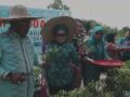 PANEN HORTIKULTURA DPRD KABUPATEN BOMBANA