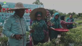 PANEN HORTIKULTURA DPRD KABUPATEN BOMBANA