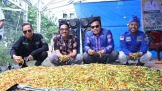 Tinjau Panen cabai di Tampabulu, Pj Bupati Edy Suharmanto puji Petani